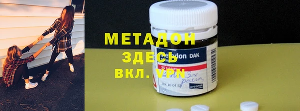 прущие грибы Сосновый Бор