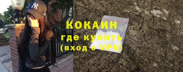 тгк Снежинск