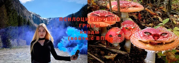 ПСИЛОЦИБИНОВЫЕ ГРИБЫ Снежногорск