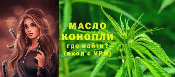 тгк Снежинск