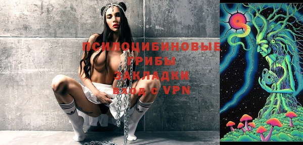 тгк Снежинск