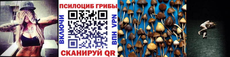 Галлюциногенные грибы Psilocybine cubensis Саратов