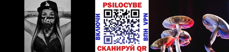 Галлюциногенные грибы Psilocybe  Саратов 